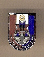 Badge FK Mordovia Saransk